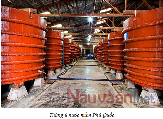 thùng ủ nước mắm phú quốc
