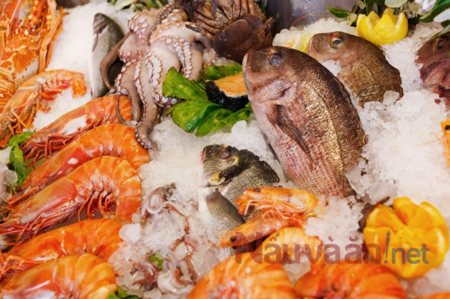 cá hải sản gây ra dị ứng cho trẻ em