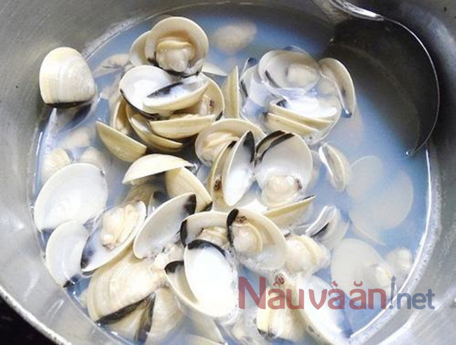 luộc ngao