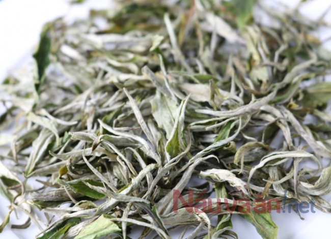 chè shan tuyết