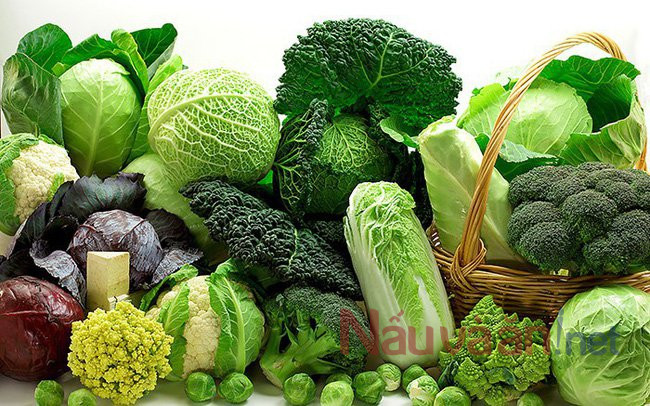Rau xanh chứa nhiều chất xơ tốt cho sức khỏe