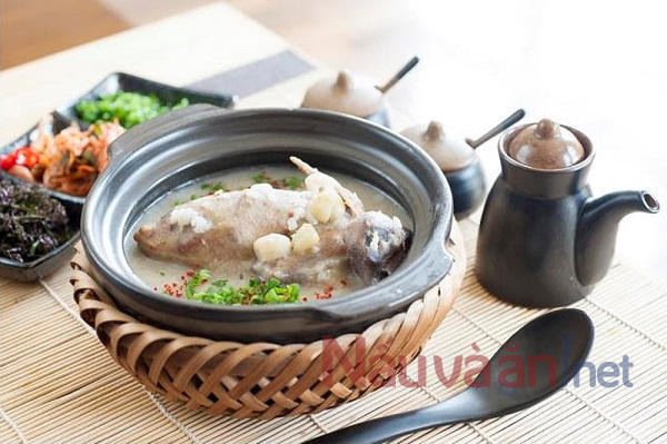 chao chim bồ câu tốt cho bà bầu