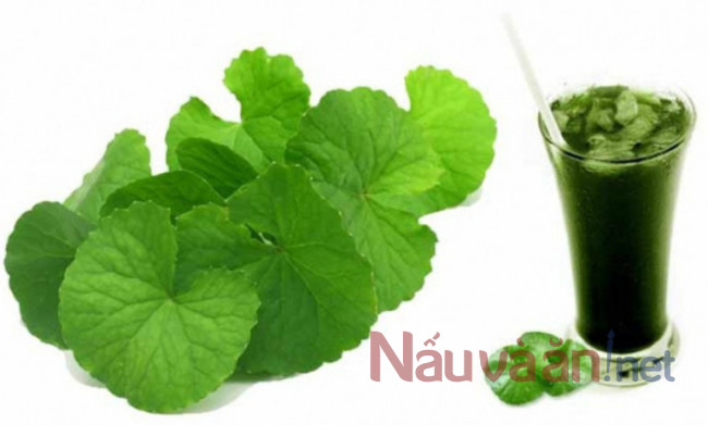 Loại rau mọc bờ mọc bụi nhưng cực giàu dưỡng chất, không thể không bổ sung