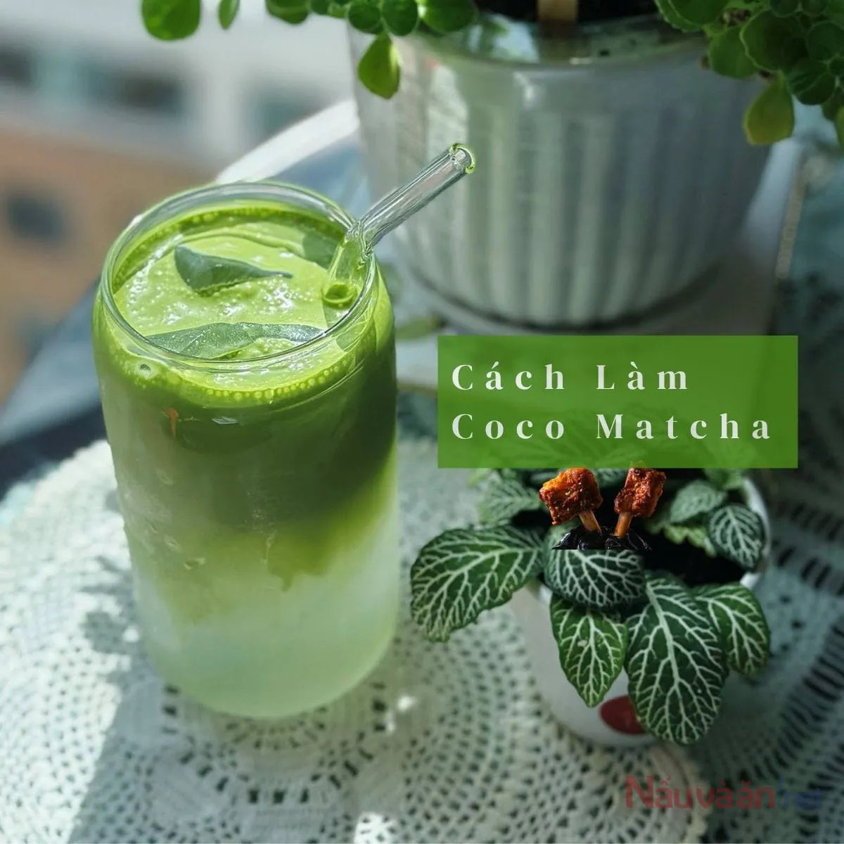 Cách Làm Coco Matcha